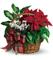 Holiday Homecoming Basket from Carl Johnsen Florist in Beaumont, TX